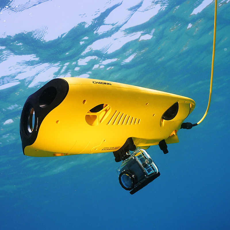 アルヴァージュ 救助装備 水泳可能 ダイビングギア アクセサ - Fishing Equipment Carp のレビューと価格
