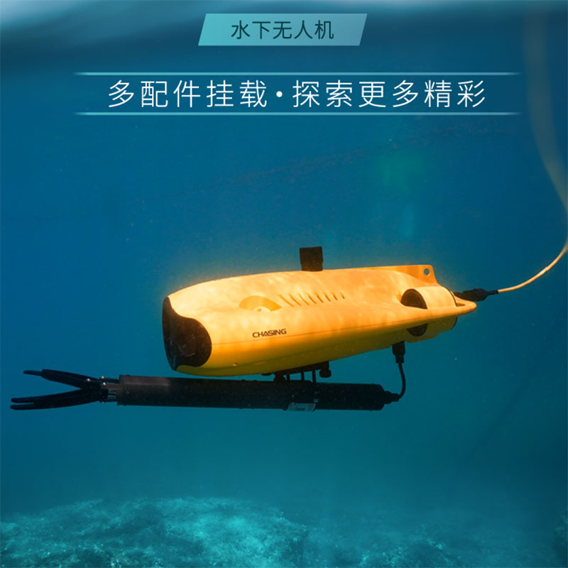 アルヴァージュ 救助装備 水泳可能 ダイビングギア アクセサ - Fishing Equipment Carp のレビューと価格